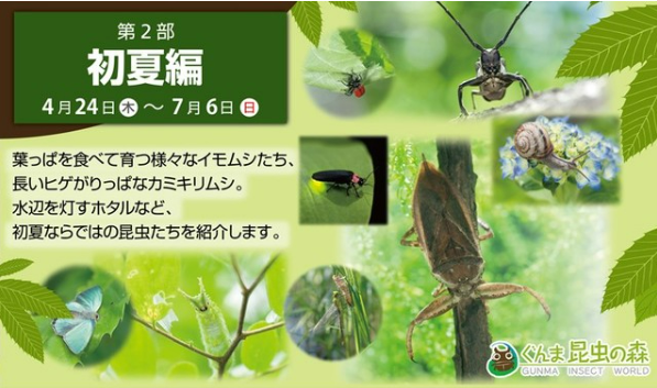 キャプチャ
