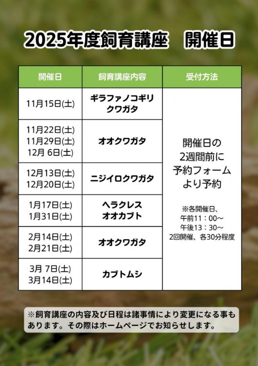 スクリーンショット 2025-11-03 130415