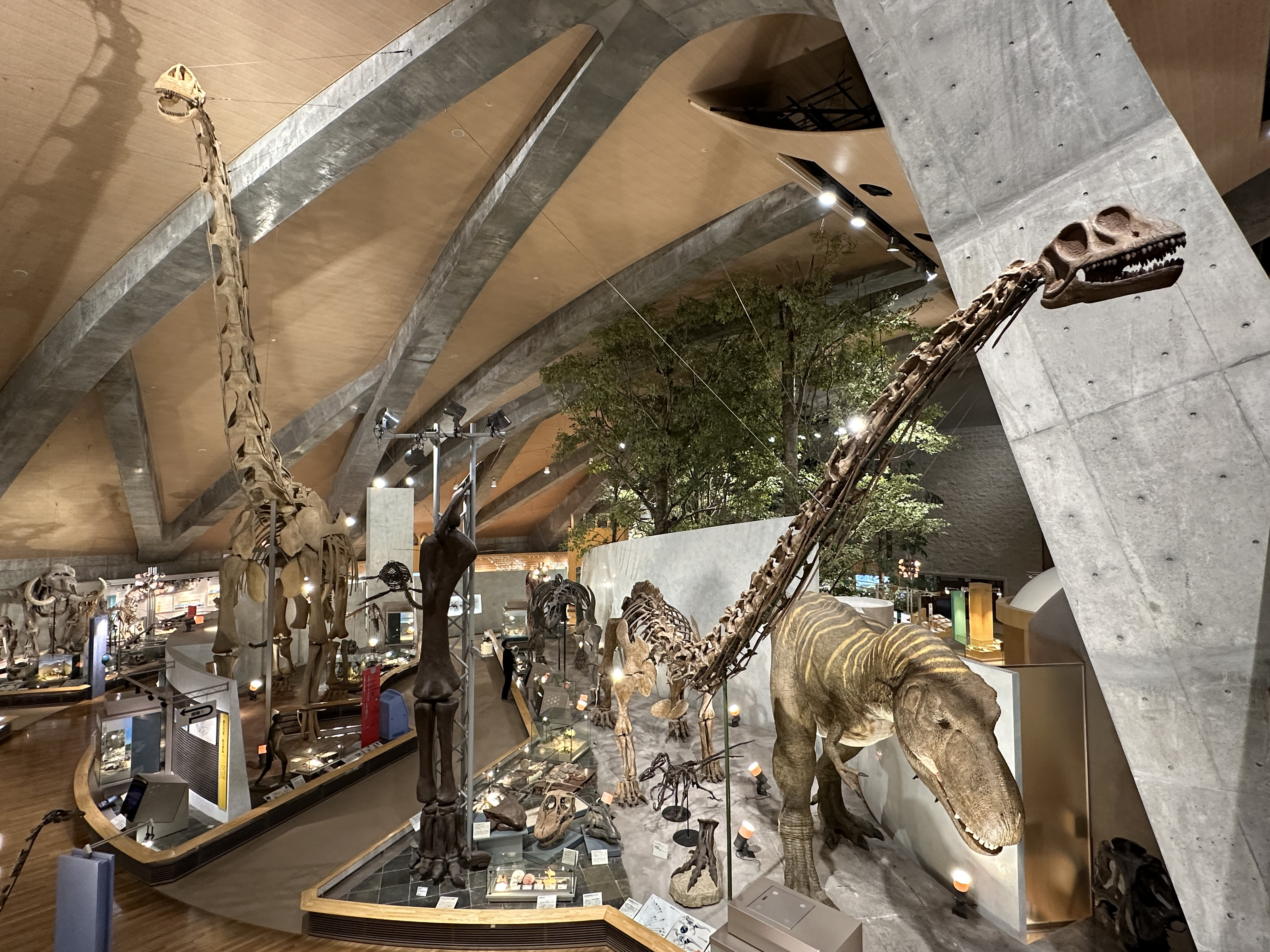 特別展「ぐんまの自然の『いま』を伝える」