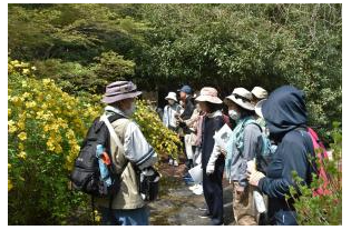 自然観察会　春の植物を観察しよう～桜など
