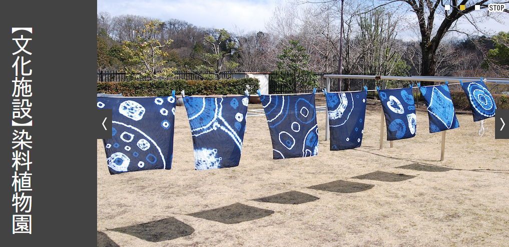 スクリーンショット 2025-10-03 084501