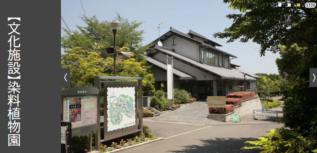ロニエ昆虫館の新部公亮（にいべこうすけ）さん