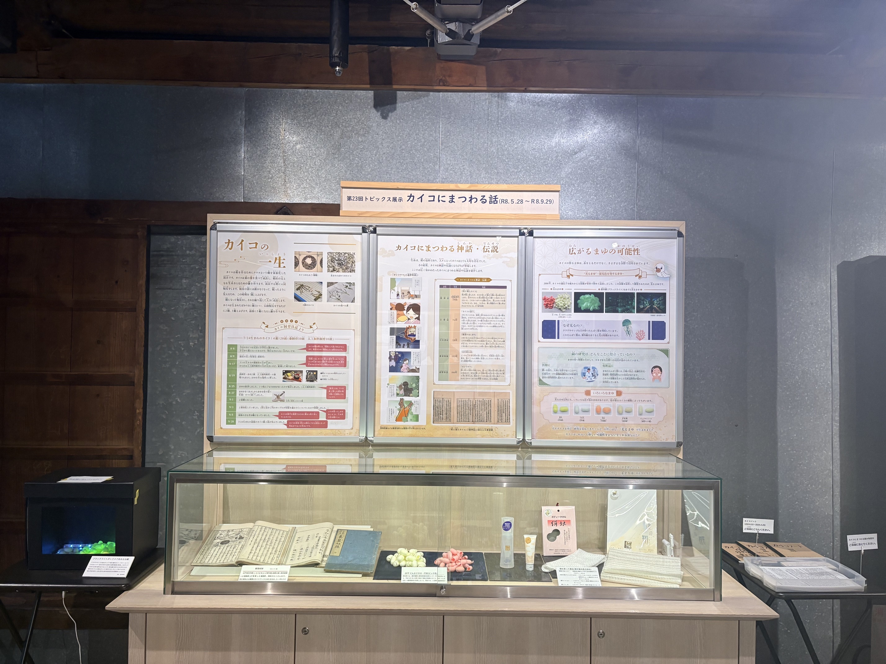 展示写真高画質の２