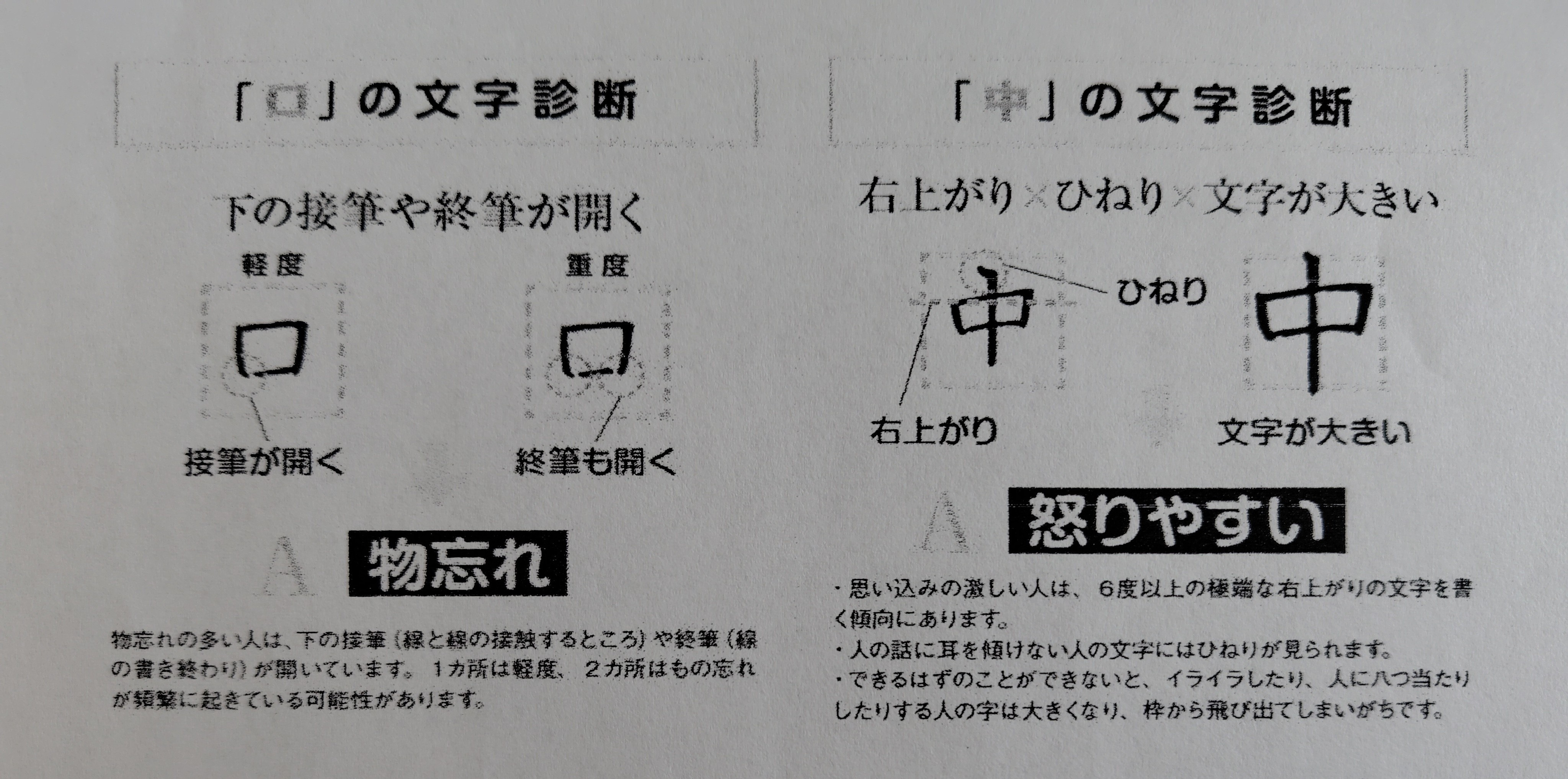 250701114655558~3.jpg