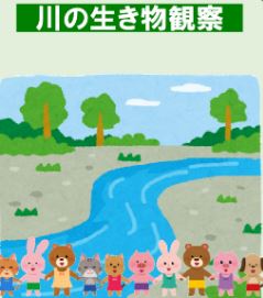 川の生き物観察