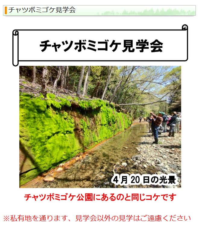 スクリーンショット 2026-03-13 081308