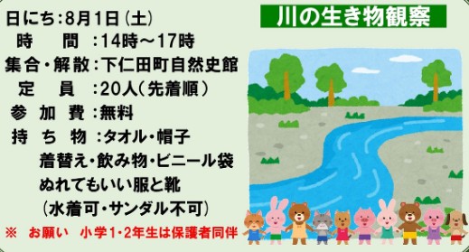 川の生き物観察